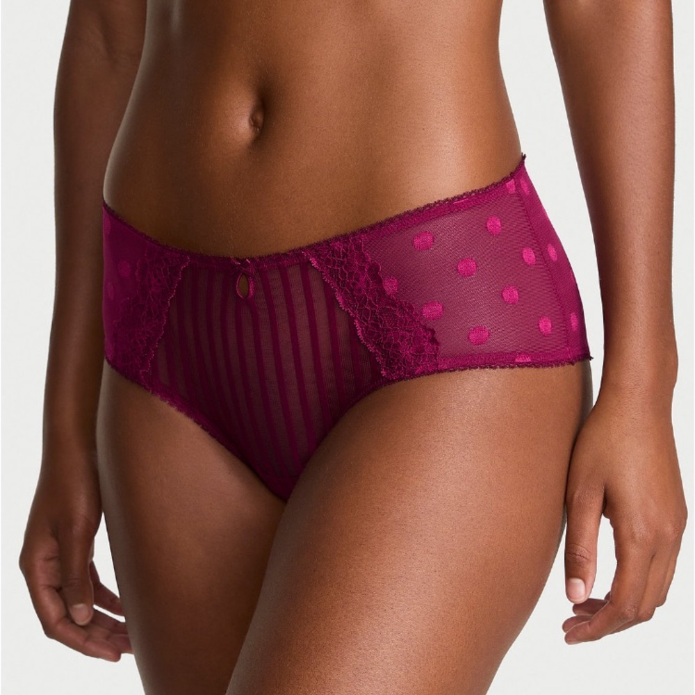 ✨Victoria’s Secret sheer heritage dot mesh cheeky panty sz L NWT